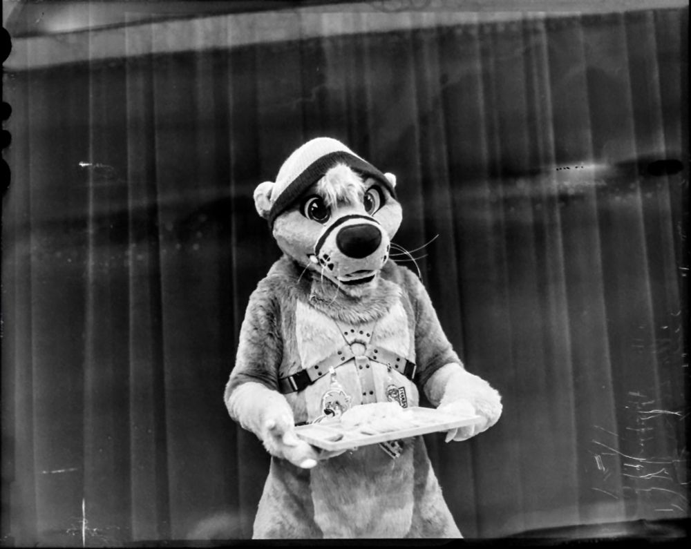 Marrok posing in the adult dealers den at mff holding a charcuterie board, the photo is a black and white 4 by 5 image from a antique camera.