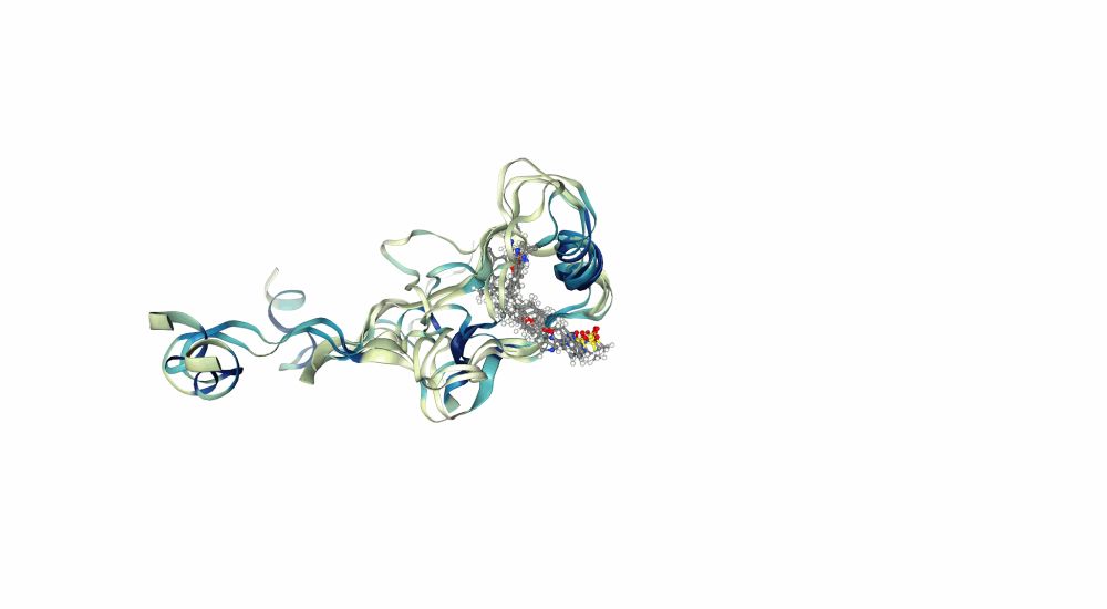 Overlayed configurations of a small molecule binding (?) to an unstructured protein