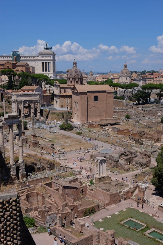 Ancient ruins of the Roman Forum with well-preserved columns and structures under a clear blue sky. Tourists walk among the historical site, surrounded by green pine trees.