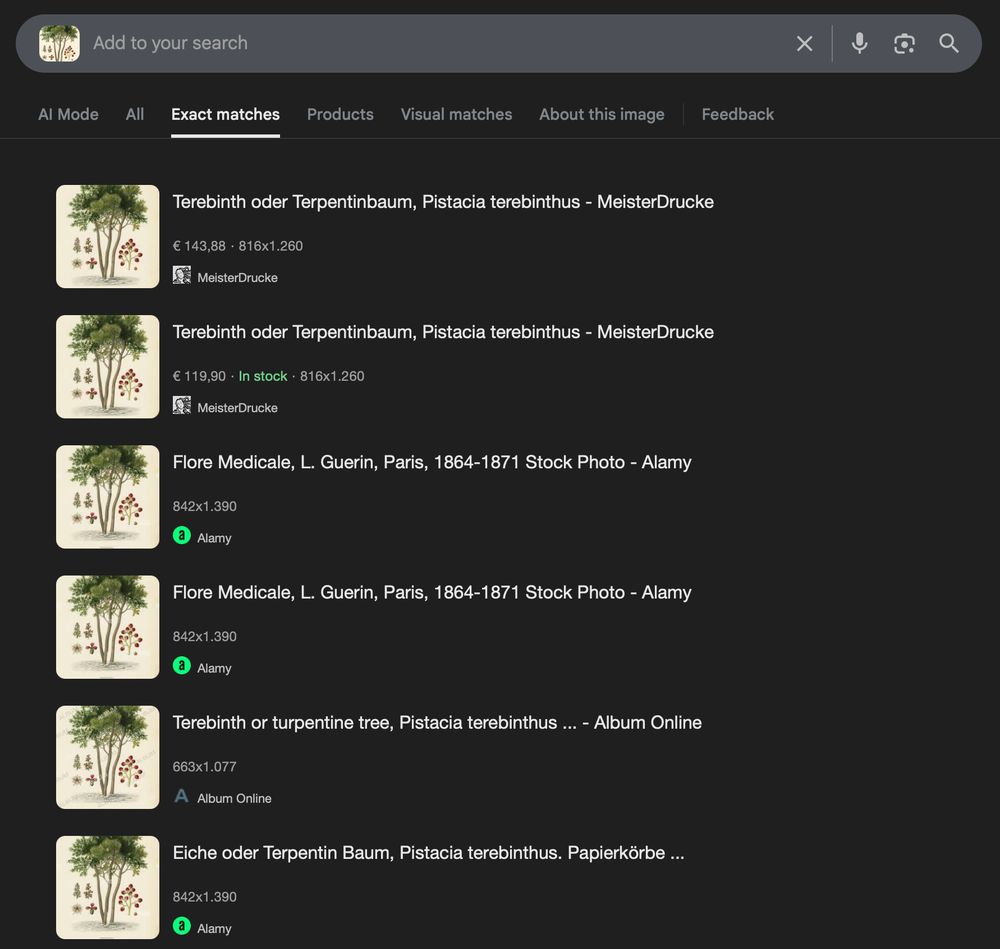 Screenshot of Google image search for the screenshot of the terebinth. It shows results on the Website MeisterDrucke, but also Alarmy and Album Online
