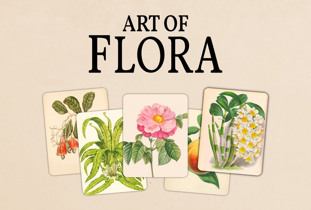 Promo Image of Art of Flora. It shows the logo above five cards of beautiful historical plant pictures. They show a Cashew, a Fern, a Rose, a peach and and Orchid.
