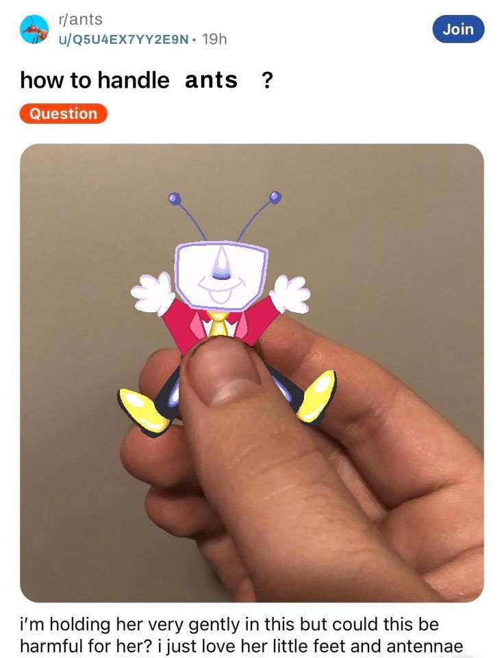 An edit of a popular meme reddit post "how to handle roaches?". The subreddit is edited to say "r/ants". The user who posted it is edited to say the Queen's full Serial Number name. The title of the post is edited to say "How to handle ants?". Below is shown the hand that holds a digitally drawn small Mr. Ant Tenna, happily smiling and doing the starfish pose. Below is a description of the post, unedited, "i'm holding her very gently in this but could this be harmful for her? i just love her little feet and antennae".
