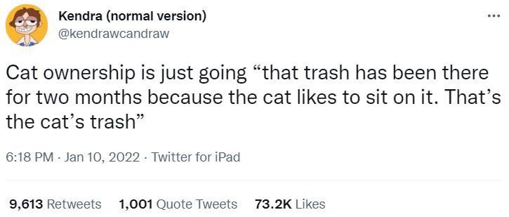 Tweet reads: Cat ownership is just going "that trash has been there for two months because the cat likes to sit on it. That's the cat's trash"