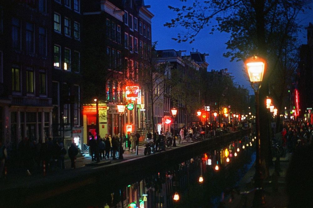 Behind glowing windows and whispered secrets, Amsterdam’s Red Light District hides a world where shadows tell untold stories.