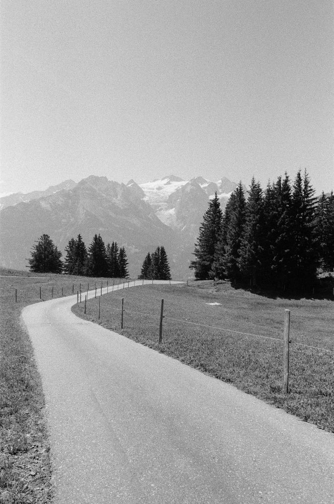 A mountain road with pine trees on both sides with a view of Schwarzhorn and Mittelhorn in Hasliberg, Switzerland, shot on 35mm Ilford film

📷 Nikon FE2
🎞️ Ilford HP5+ 400