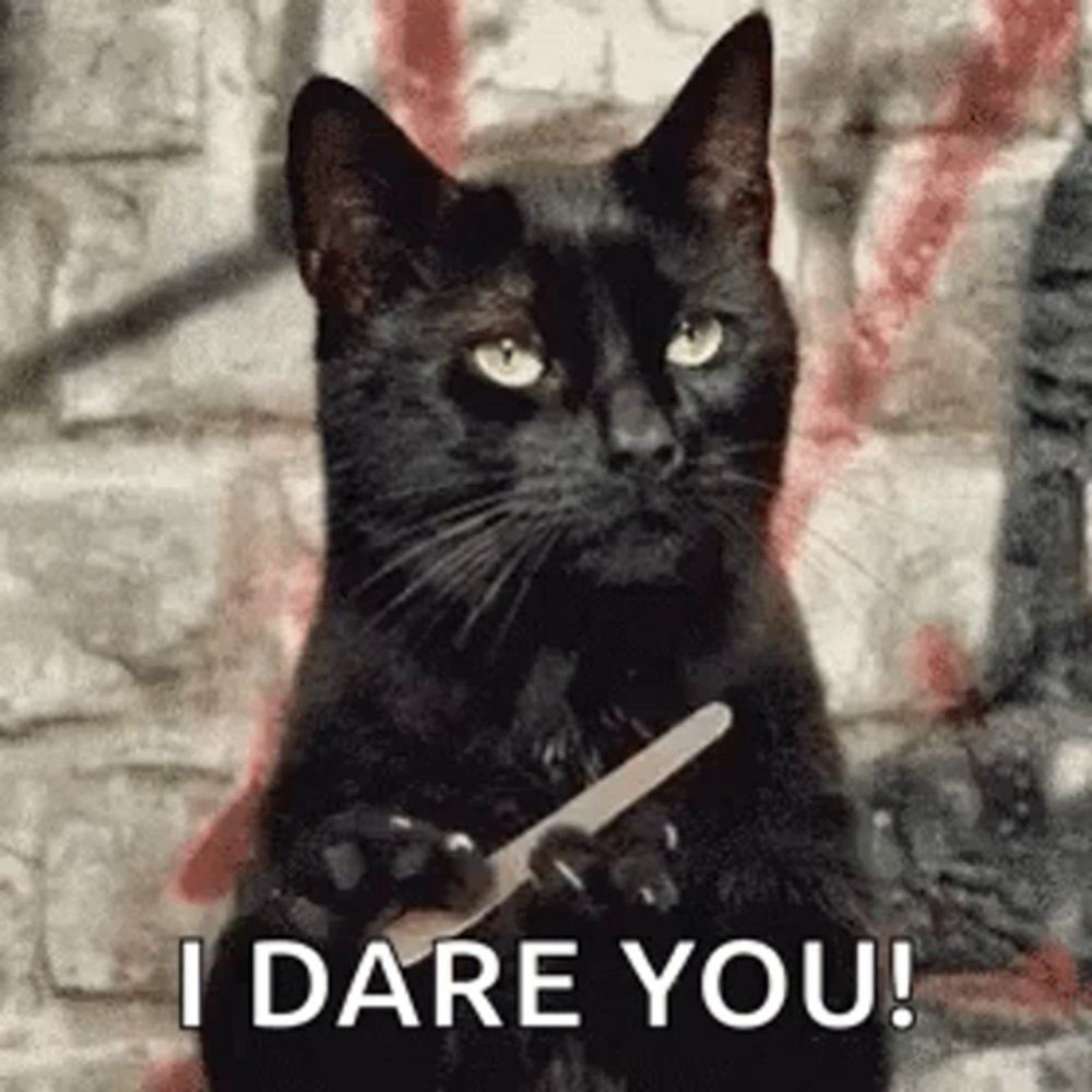 a black cat is holding a nail file in its paws and saying `` i dare you ! ''