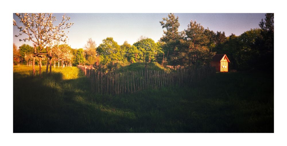 Streuobstwiese mit Insektengarten.