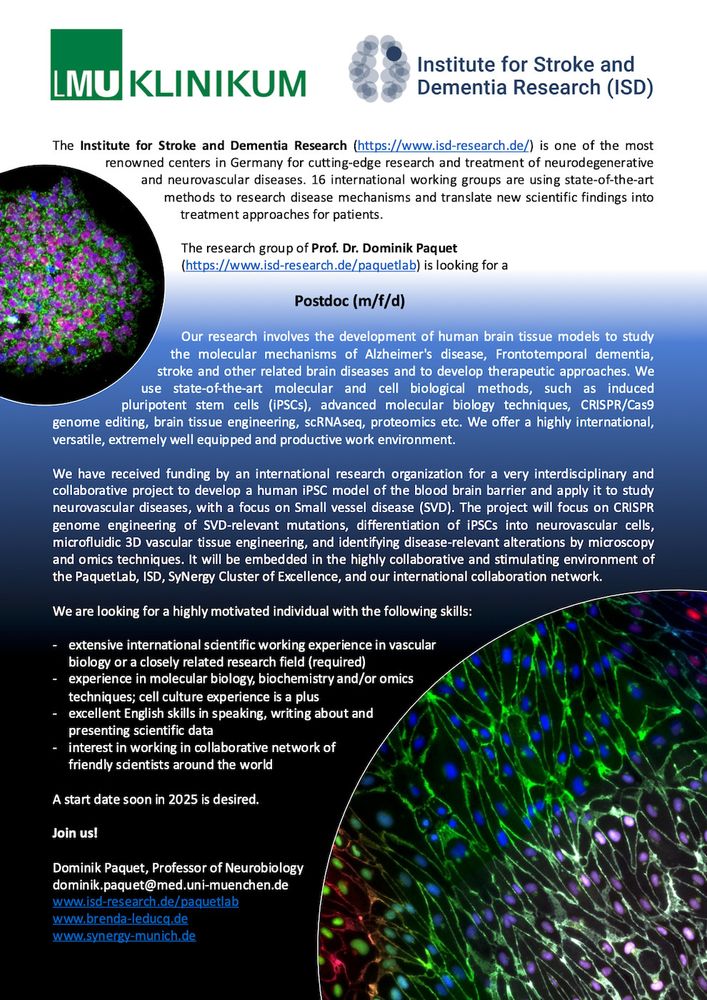 The research group of Prof. Dr. Dominik Paquet (https://www.isd-research.de/paquetlab) is looking for a Postdoc. Our research involves the development of human brain tissue models to study the molecular mechanisms of Alzheimer's disease, Frontotemporal dementia, stroke and other related brain diseases and to develop therapeutic approaches. We use state-of-the-art molecular and cell biological methods, such as induced pluripotent stem cells (iPSCs), advanced molecular biology techniques, CRISPR/Cas9 genome editing, brain tissue engineering, scRNAseq, proteomics etc. We offer a highly international, versatile, extremely well equipped and productive work environment.

We have received funding by an international research organization for a very interdisciplinary and collaborative project to develop a human iPSC model of the blood brain barrier and apply it to study neurovascular diseases, with a focus on Small vessel disease (SVD). The project will focus on CRISPR genome engineering of SVD-relevant mutations, differentiation of iPSCs into neurovascular cells, microfluidic 3D vascular tissue engineering, and identifying disease-relevant alterations by microscopy and omics techniques. It will be embedded in the highly collaborative and stimulating environment of the PaquetLab, ISD, SyNergy Cluster of Excellence, and our international collaboration network.

We are looking for a highly motivated individual with the following skills:

-extensive international scientific working experience in vascular 
biology or a closely related research field (required)
-experience in molecular biology, biochemistry and/or omics 
techniques; cell culture experience is a plus 
-excellent English skills in speaking, writing about and 
presenting scientific data
-interest in working in collaborative network of 
friendly scientists around the world

A start date soon in 2025 is desired. 

Join us!
dominik.paquet@med.uni-muenchen.de
www.isd-research.de/paquetlab
www.brenda-leducq.de