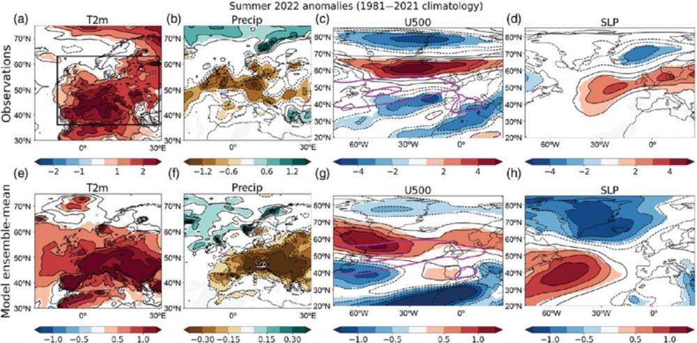 Drivers of the ECMWF SEAS5 seasonal forecast for the hot and dry European summer of 2022