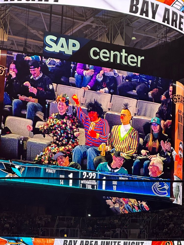 Three people in the crowd at the Sharks game, with two people dressed as Bert and Ernie, with their faces painted. They are sitting next to someone dressed in the flower outfit from Midsommar. 