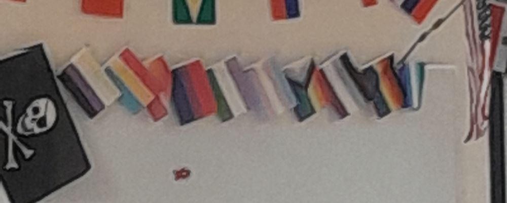 A line of flags lined up, with a pirate flag as the first flag, and the rest are pride flags.

AMERICAAAAAAAAA