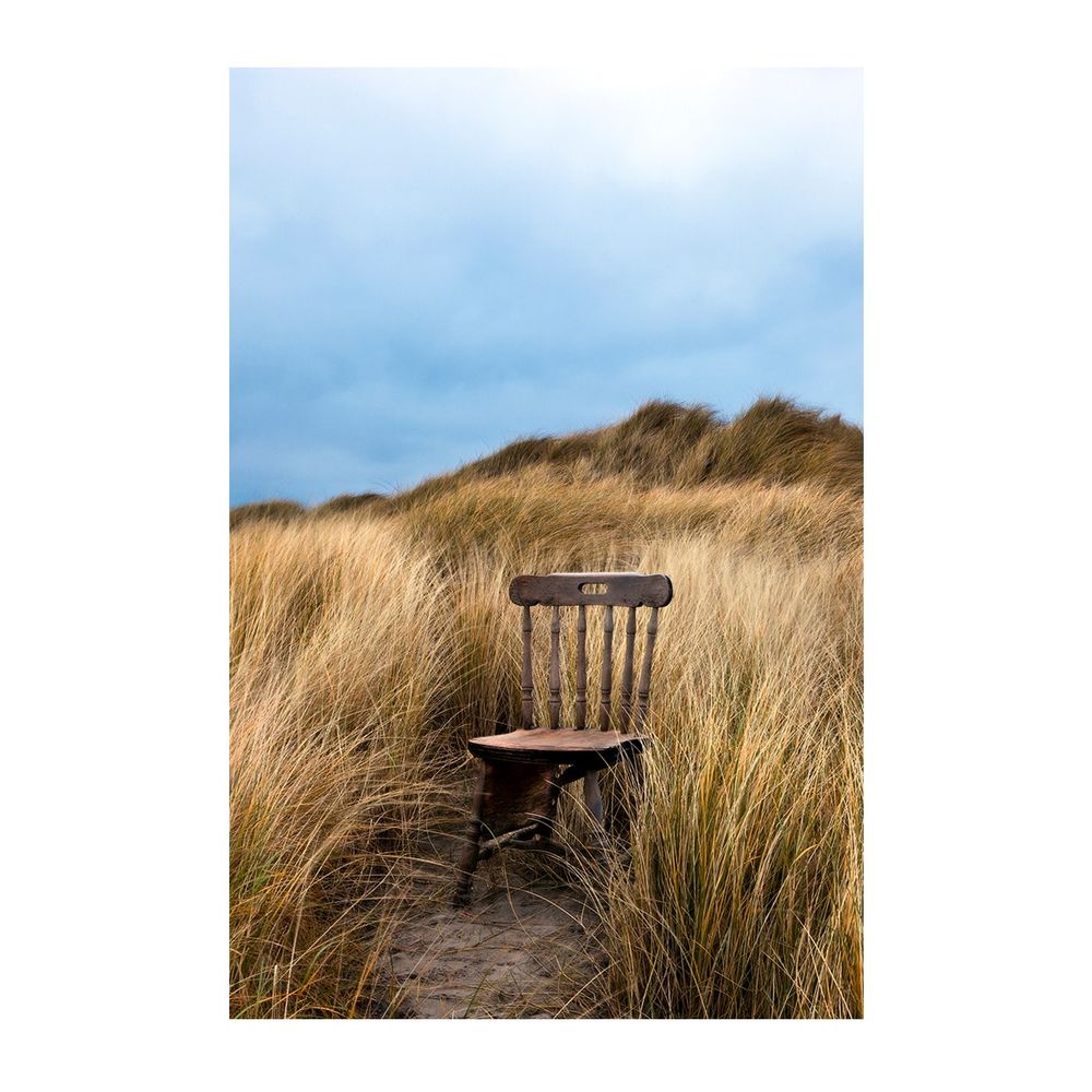 1. Chair, Bull Island, Dublin - Dave Walsh