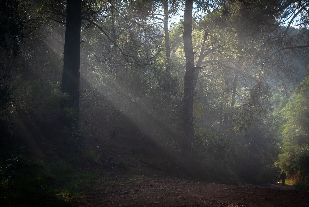 Afternoon sunlight in the mountains, Montserrat