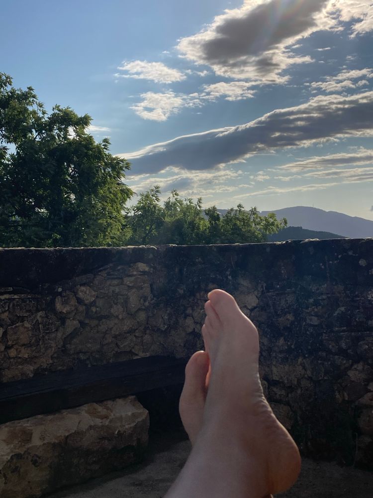 Feet with a view of trees and mountains.