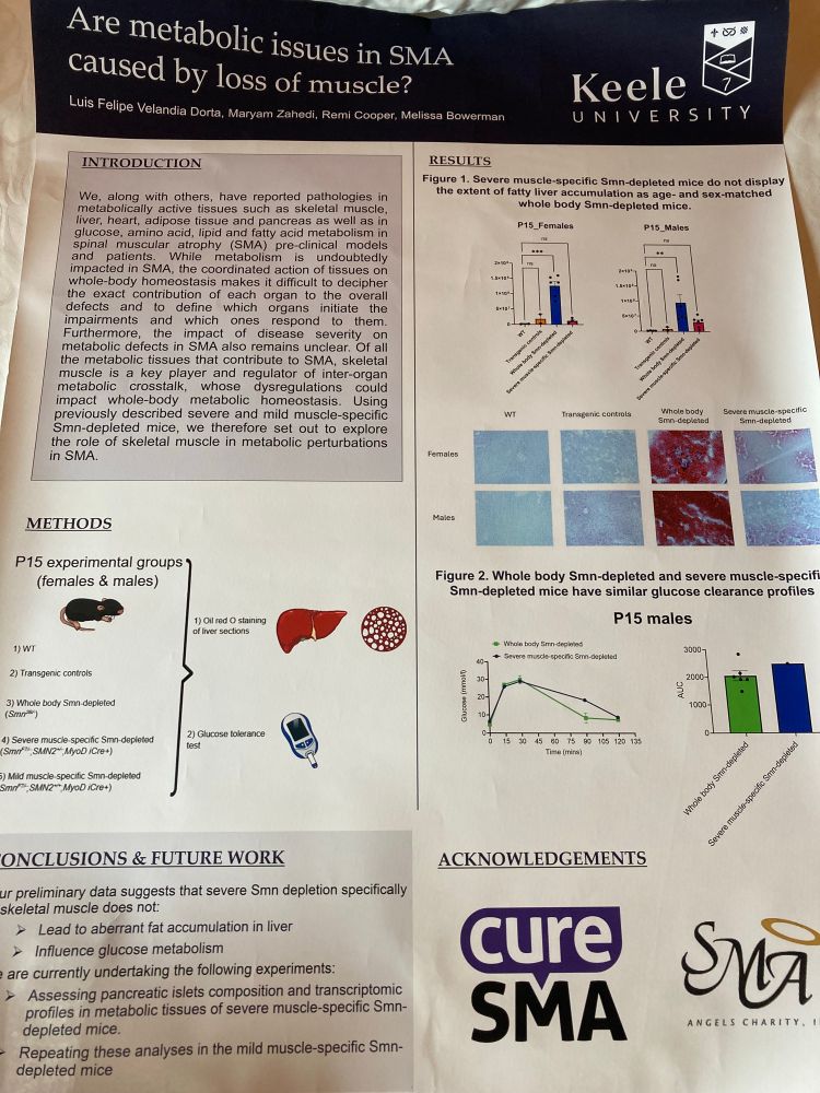 Research poster