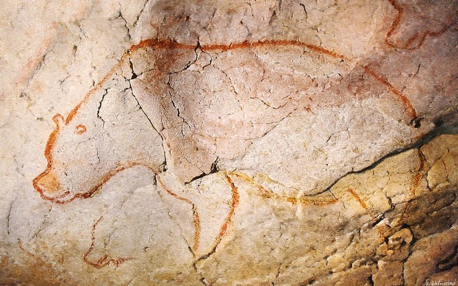 Chauvet cave bear, artist unknown. Circa 30,000 years ago.