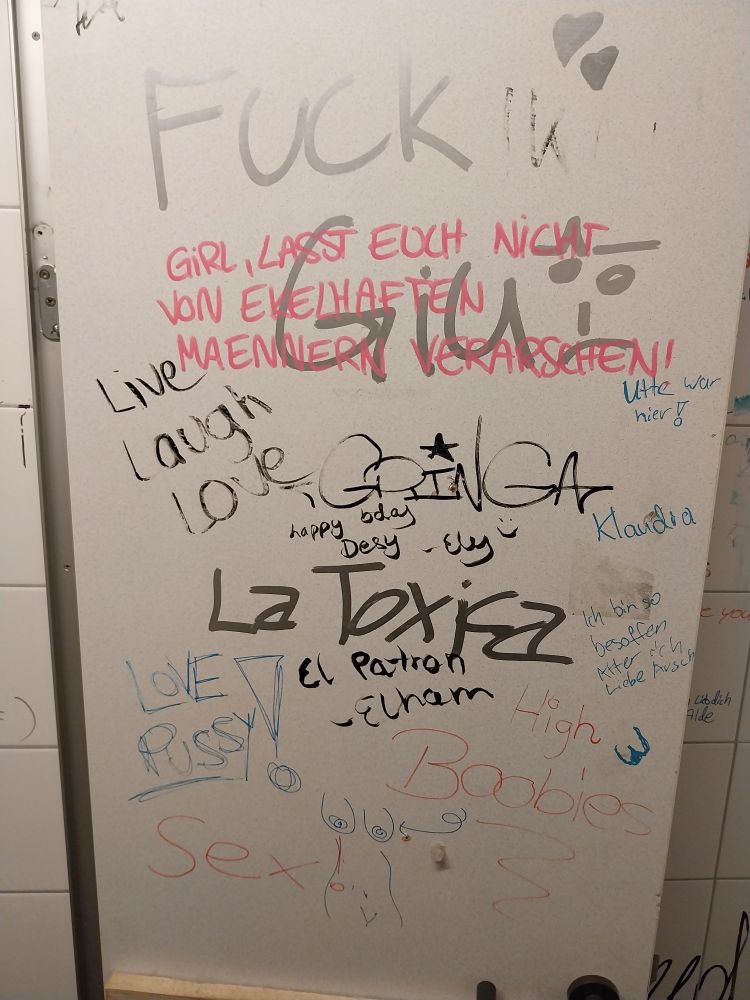 Several graffiti found in a bathroom in Nuremberg

Most significant ones:

- "Fuck Giu"
- "Live laugh love"
- "La Toxica"
- "Girl, Lasst euch nicht von ekelhaft maennern verarschen!"
- "High boobies"