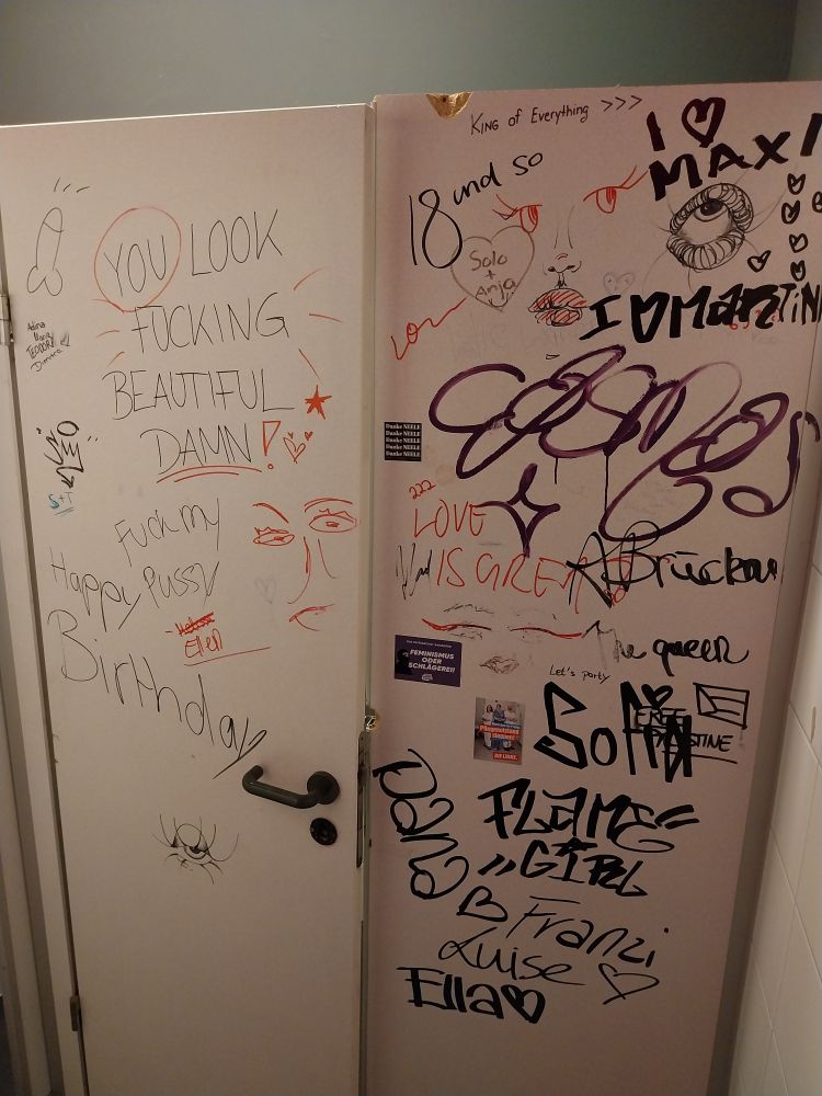 Several graffiti found in a bathroom in Nuremberg

Most significant ones:

- "You look fucking beautiful damn!"
- "Flame girl"
- "Happy birthday"
- "Love is great!"