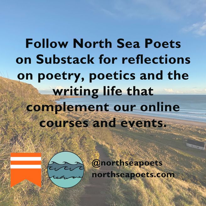 Subscribe to North Sea Poets on Substack. The Substack and North Sea Poets logos are in the bottom left corner. In the background is a photo of a grassy hill leading down to the beach. There's a small white house in the bottom right corner and the sea.