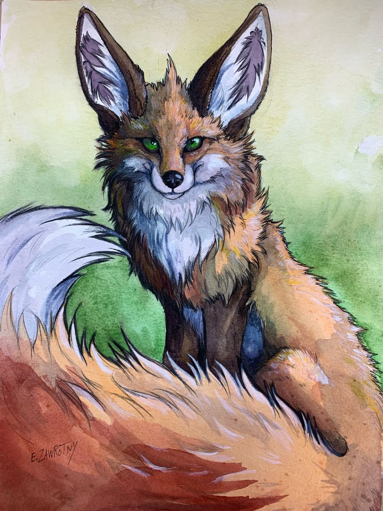 Watercolor painting of a red fox looking at the viewer, huge tail curling around the bottom of the frame