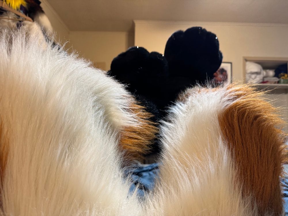 My fox legs and feet