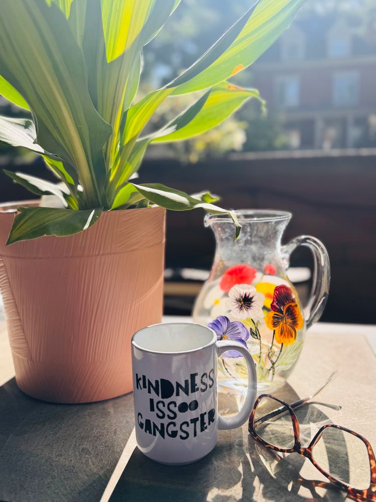 Plant, water pitcher, mug stating,” Kindness is soooooo Gangster,” basking in the sunlight. 