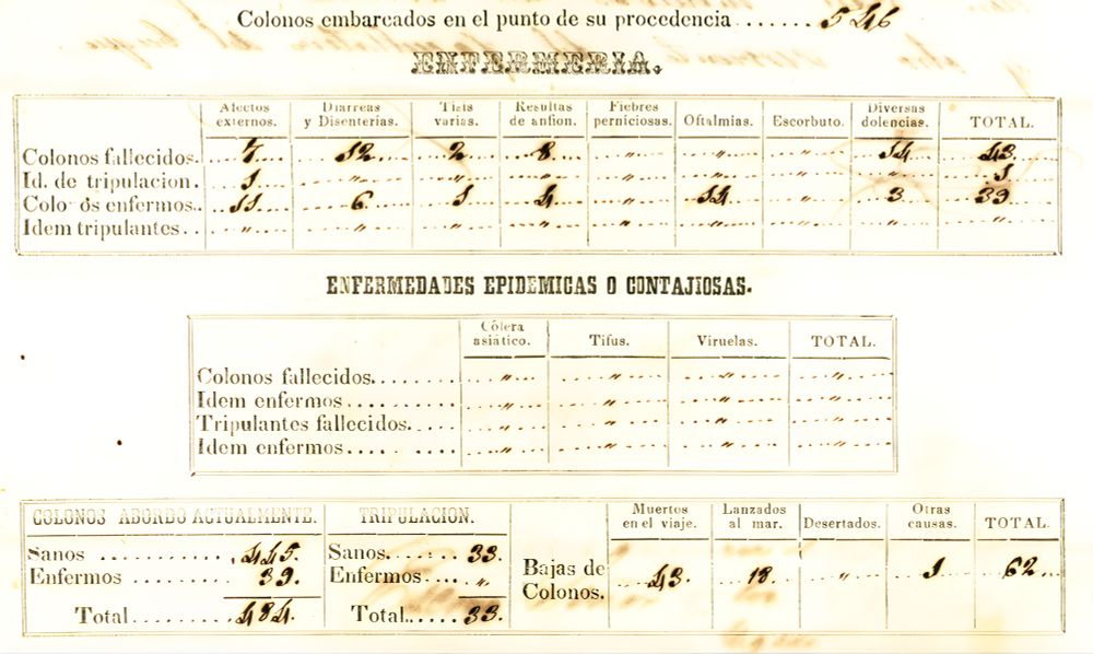 A mortality table for the “Golden Eagle,” a Chinese coolie vessel. 12 passengers died from opium (“resultas de anfion”). 