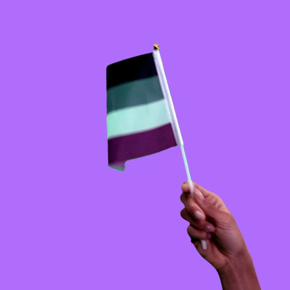 a hand holds a small asexual flag on a purple background