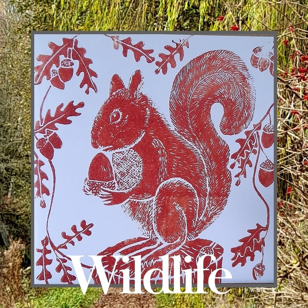 Single colour printing