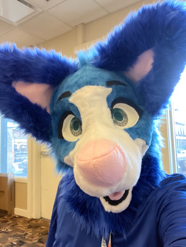 Blue Wolf Fox Hybrid Fursuit head