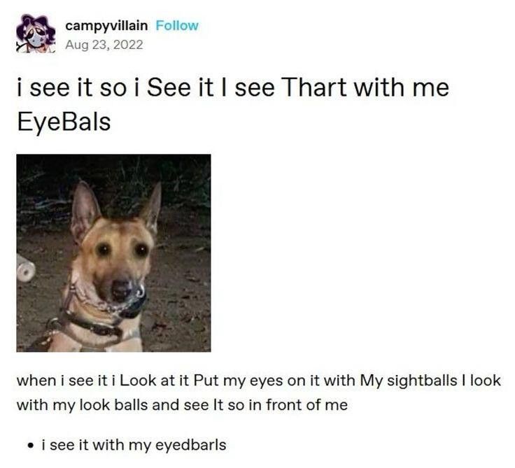 i see it so i See it I see Thart with me
EyeBals

[image of a dog with edited eyes]

when i see it i Look at it Put my eyes on it with My sightballs I look with my look balls and see It so in front of me

• i see it with my eyedbarls
