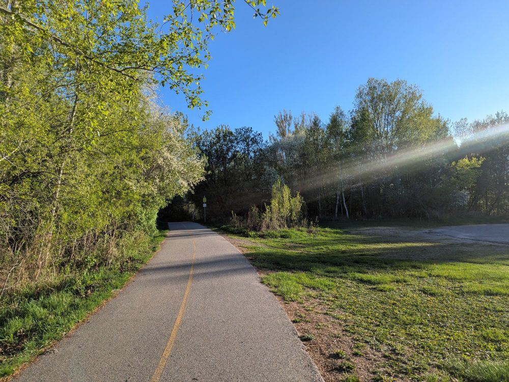 Blue sky, green grass and fresh spring leaves on trees along a cemented bike and walking path.