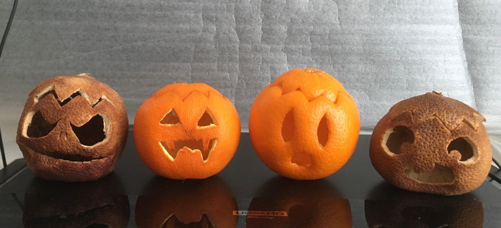 4 Tangerines carved into jack-o-lanterns. Two fresh carvings bracketed by year-old examples.
