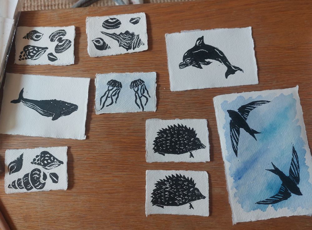 Lino prints of nature, hedgehogs, seashells, swift, dolphin, jellyfish and whale