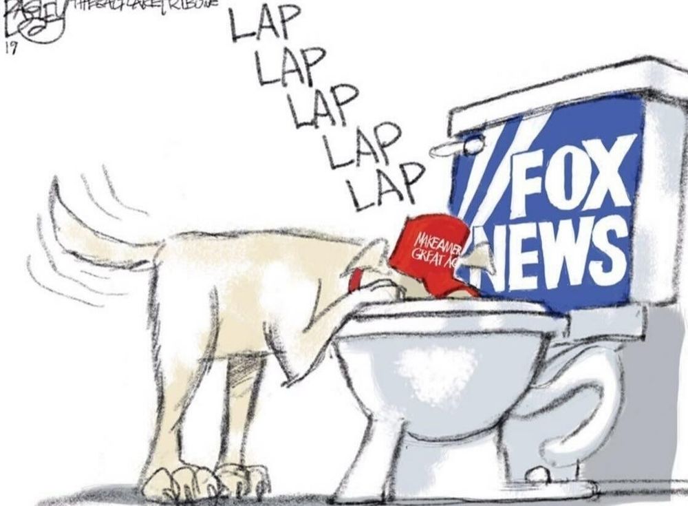 Cartoon dog in maga hat drinking from toilet labeled fox news 