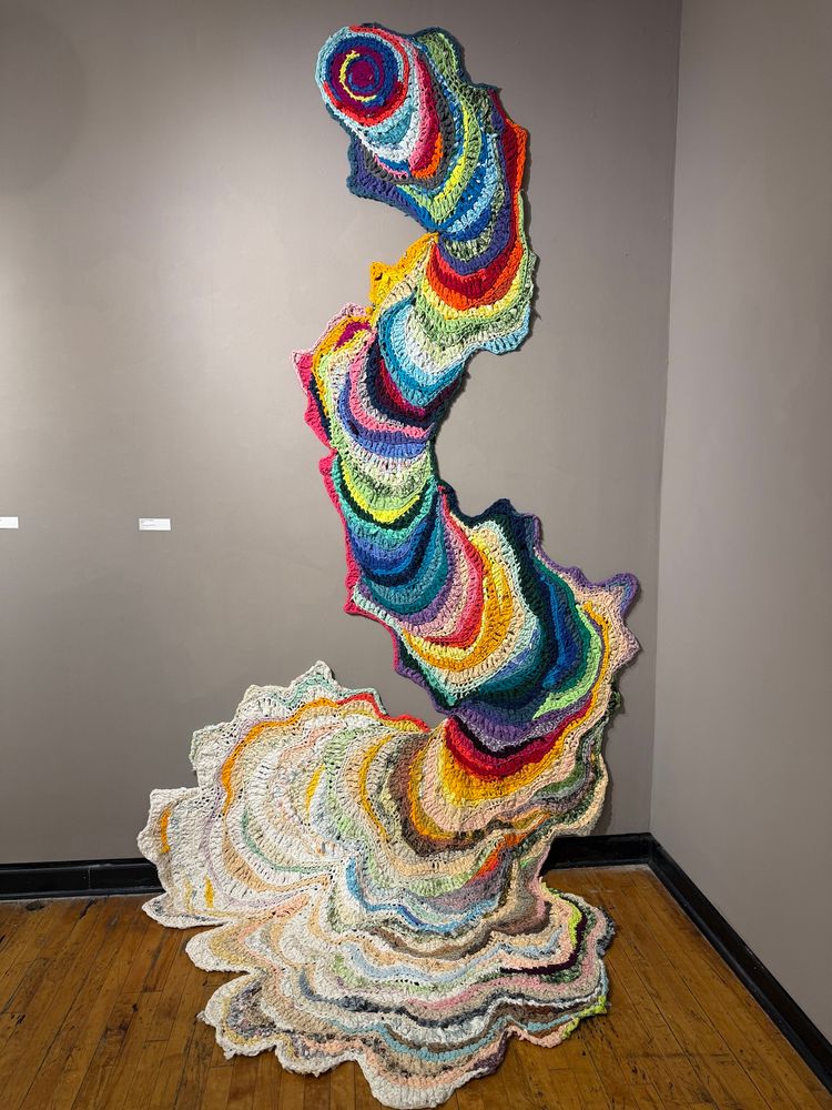 A large crocheted art piece. It is long enough to climb up the wall from the floor in a colorful somewhat tube shape. 