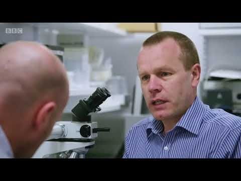 Alan Shearer: Dementia, Football and Me Documentary 2017