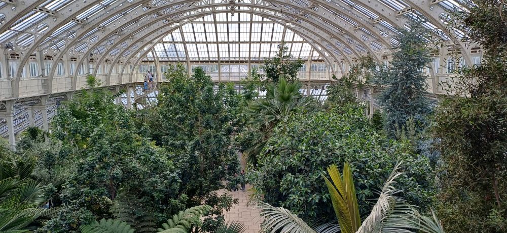The interior of one of the glasshouses taken from an elevated walkway. A vast glass and steel curved structure at the top with dense, lush green foliage underneath 