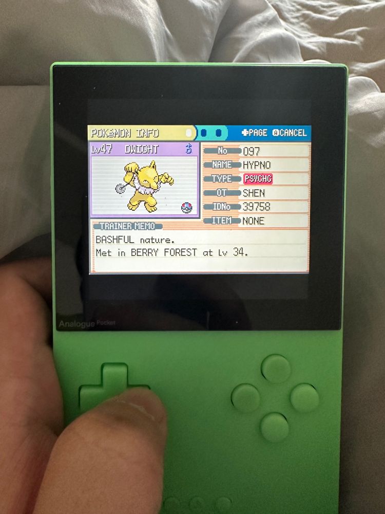 Dwight the Hypno (formerly Drowzee). Met in Berry Forest.