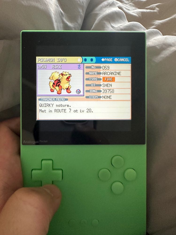 Riki the Arcanine (formerly Growlithe) from Route 7.