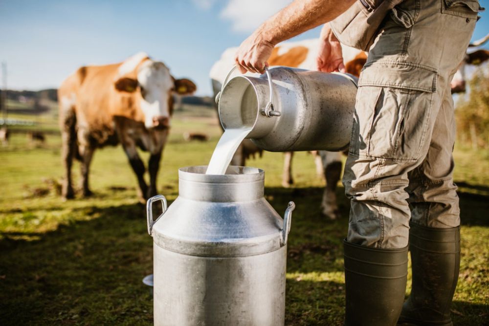 The E. coli outbreak comes as Trump officials face pressure to loosen regulations on raw milk