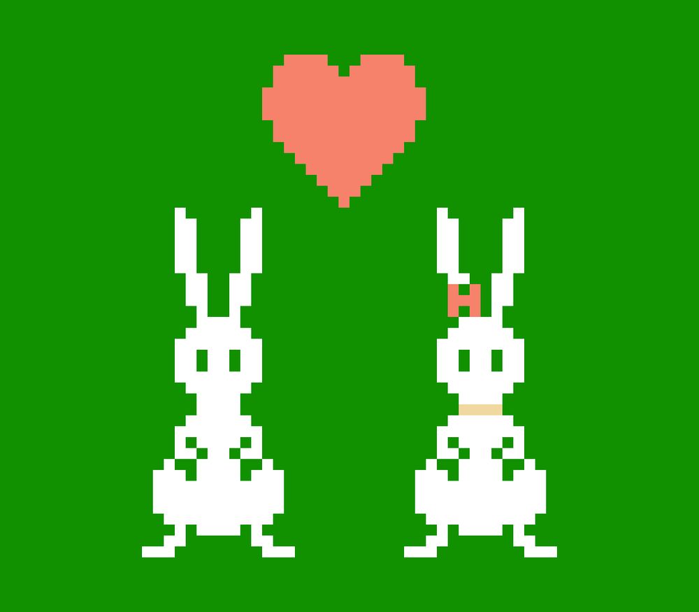 Close-up of the two rabbits sharing their love.