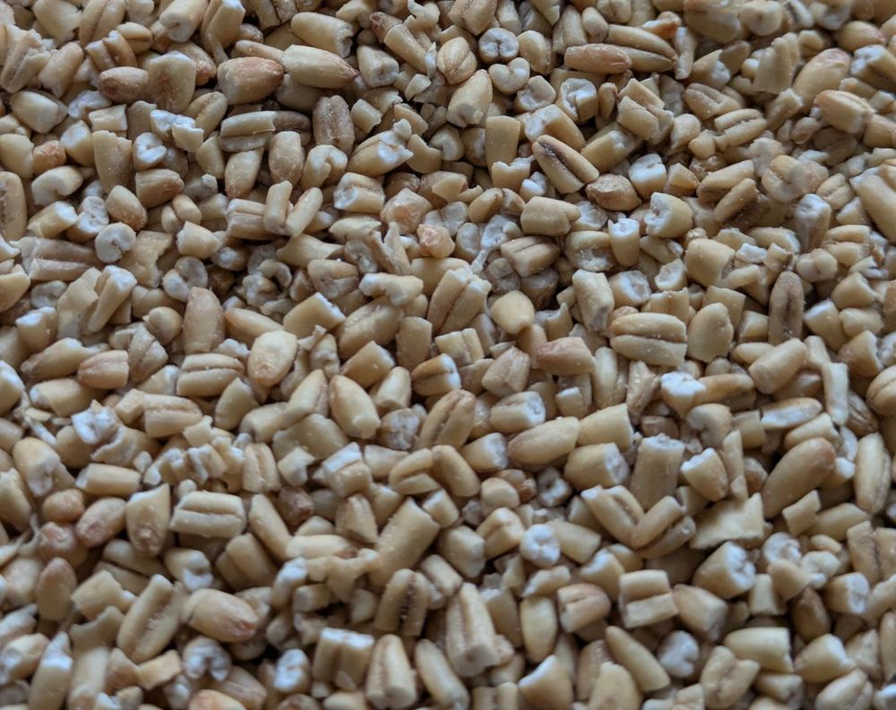 toasted oats ready for making miso porridge later this week