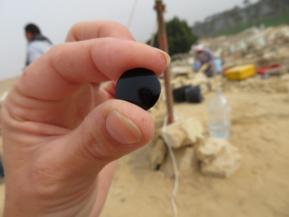 A stray iris-inlay from an Egyptian Coffin held between my finger and thumb - it is mirror shiny, and mesmerising. Egyptian archaeological workers, a modern cemetery and date groves are in the background. Photo by Xander Sable