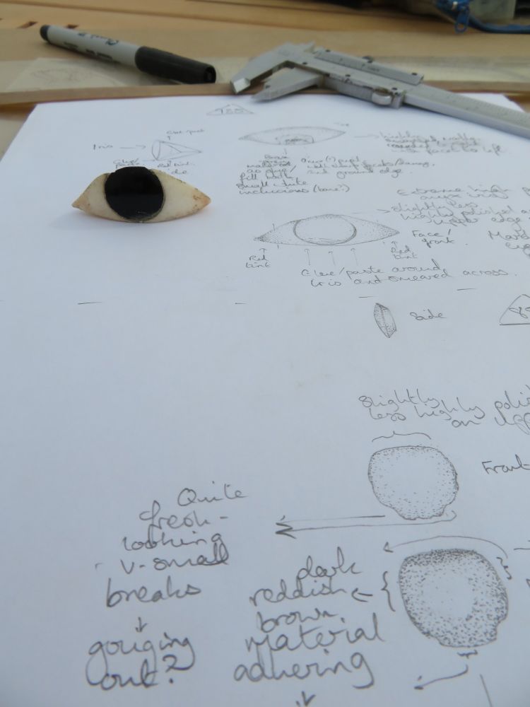 More of the eye-inlay finds illustration sheet, with the complete eye-inlay in the back ground, and the entry for the stray iris-inlay in the foreground. Front, rear-view and side-view are shown. Photo and illustrations by Xander Sable
