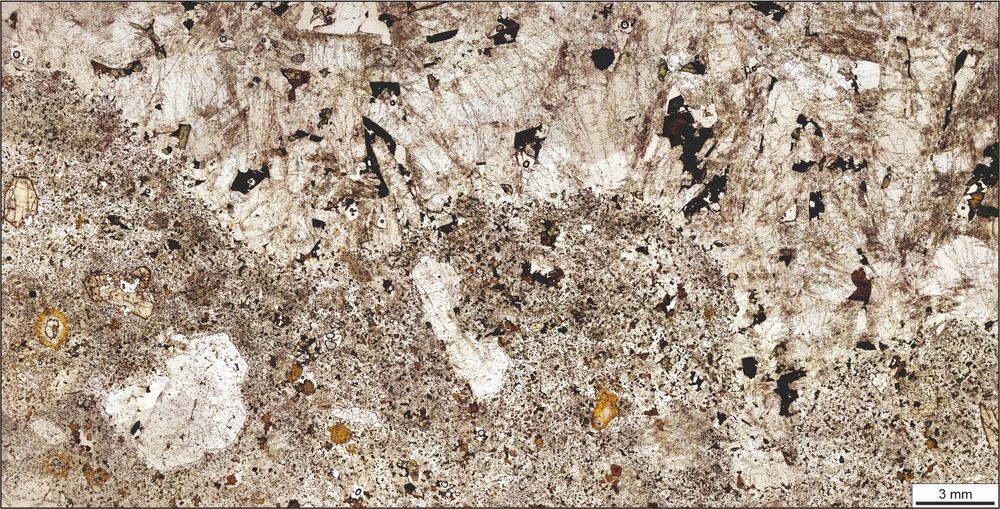 A rock thin section showing a contact between coarse syenite and medium grained, prophyritic syenite.