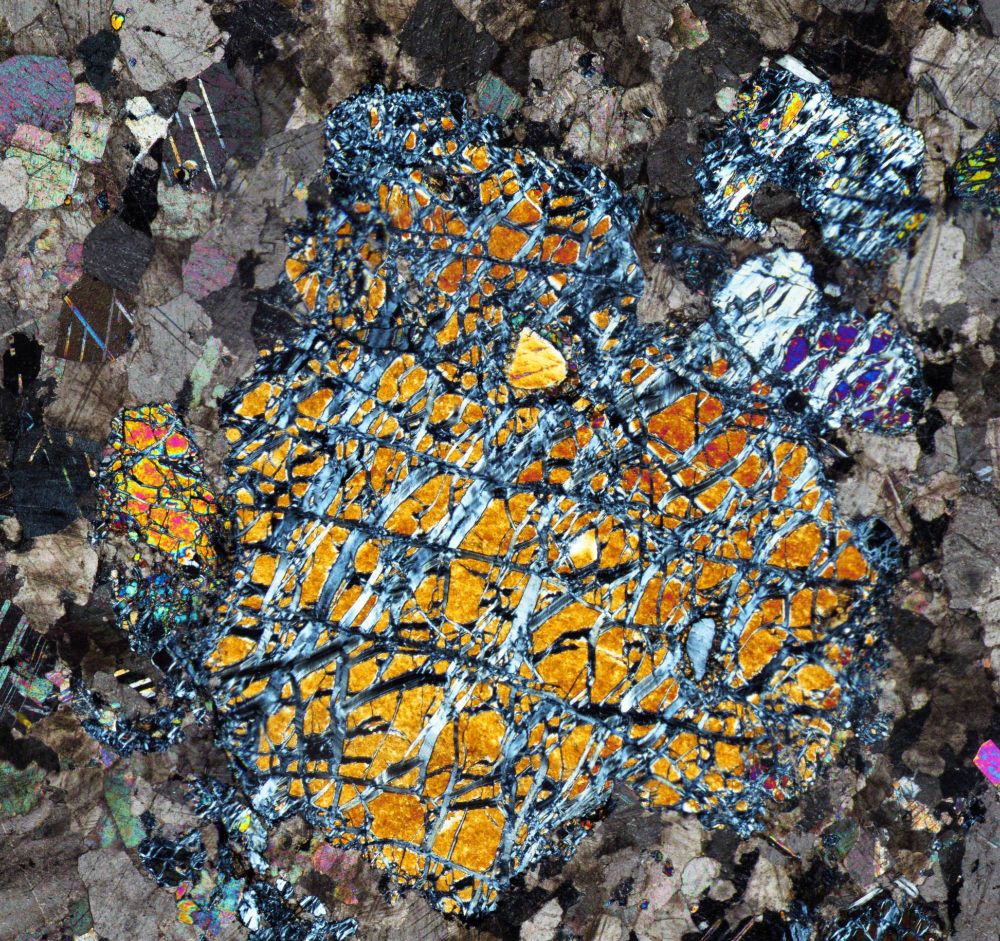 A large olivine crystal showing bright second order interference colours. Fractures cut across the majority of the crystal, along which the olivine is being replaced by first order grey serpentine.