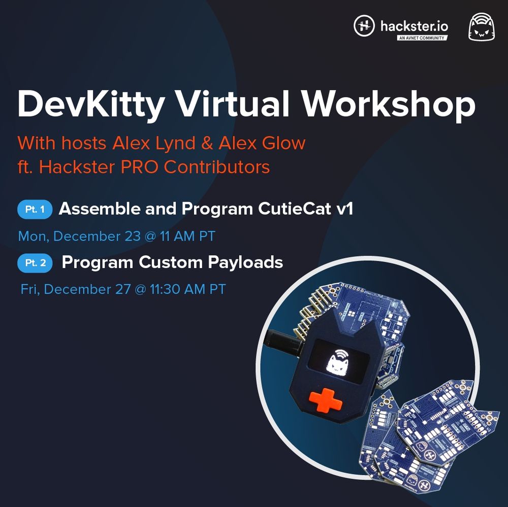 A promo image for the DevKitty Virtual Workshop.