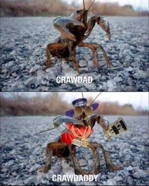 Two pictures of a crawdad.  The top one is just a crawdad.  The one below is labeled crawdaddy and it had a purple hat, some gold chains and a pimp cup