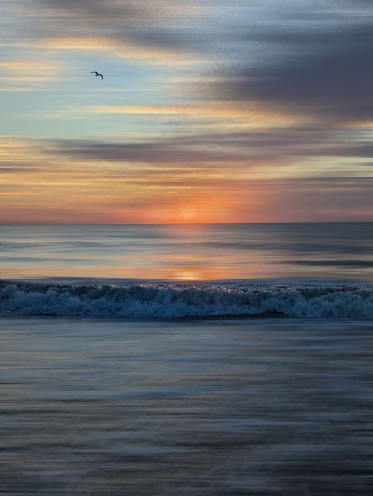The sunrise just above the horizon line over the ocean with a reflected sunrise in the water. A wave breaks in the mid-foreground. In the sky towards the top left the silhouette of a seagull can be seen.  The clouds in the sky and the water below where the wave breaks shows horizontal streaks from left to right.  This is where I have applied the "Adamski Effect" to the photo. It is an editing effect where "motion blur" is deliberately applied to parts of the image that aren't the main subject while the main subject is kept sharp.  In this case the main subject is the breaking wave and the bird in the sky.  The original concept for this effect comes from the works of Josh Adamski. 

